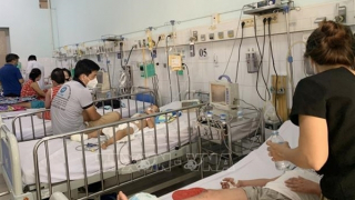 TP Hồ Chí Minh ghi nhận 21 trường hợp tử vong do sốt xuất huyết