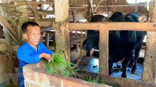 Những người trẻ khuyết tật vượt lên số phận