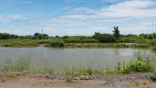 Tập bơi trong ao tôm, hai mẹ con bị đuối nước tử vong