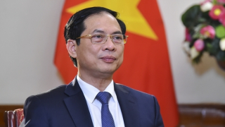 45 năm quan hệ Việt Nam - Liên hợp quốc: Đối tác tin cậy vì hòa bình, hợp tác và phát triển