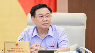 "Vá lỗ hổng" Luật Đấu thầu, không để "quân xanh, quân đỏ", tham nhũng, tiêu cực