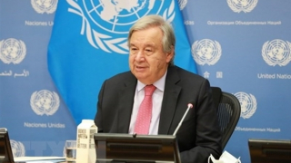 Tổng Thư ký LHQ chúc mừng Việt Nam nhân dịp 45 năm gia nhập LHQ