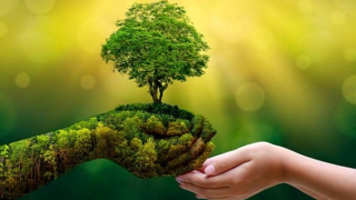 Tăng trưởng xanh để phát triển bền vững