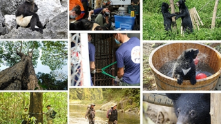 Công chiếu 2 bộ phim về bảo tồn đa dạng sinh học và phúc lợi động vật