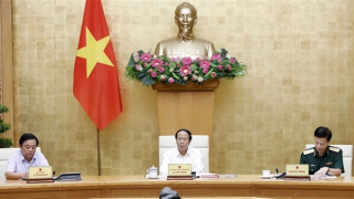 Mở đợt cao điểm kiểm tra,  xử lý vi phạm khai thác IUU