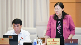 Buộc thành thạo tiếng Việt sẽ hạn chế bác sỹ giỏi nước ngoài đến Việt Nam