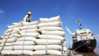 Bộ Ngoại giao nói gì trước tin đồn Việt Nam sẽ tăng giá gạo xuất khẩu?