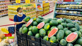 Xuất nhập khẩu giảm hơn 9 tỷ USD