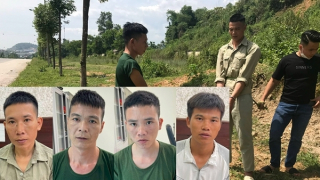 Bắt 4 “thợ đào đường” chuyên trộm cắp dây cáp điện