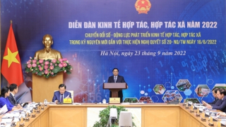 Thủ tướng: Đổi mới, sáng tạo, đột phá đối với mô hình kinh tế tập thể