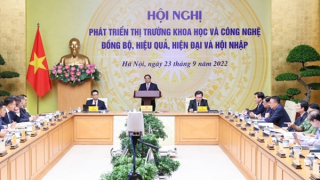 Thủ tướng chủ trì Hội nghị phát triển thị trường khoa học và công nghệ