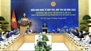 Các hợp tác xã phải chủ động chuyển đổi số để tồn tại và phát triển