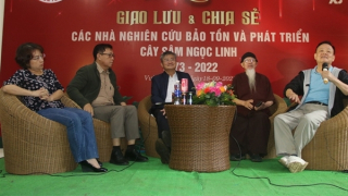 Hành trình “đánh thức” sâm Ngọc Linh