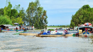 Sản xuất nông nghiệp bền vững cho vùng đồng bằng sông Cửu Long