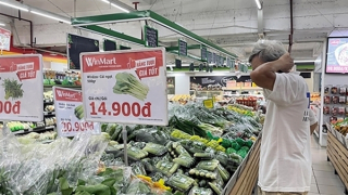 Rau trôi nổi “đột lốt” rau VietGAP: Không thể quản lý chất lượng bằng… niềm tin