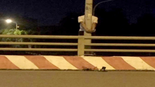 Cứu kịp thời thanh niên định nhảy cầu tự tử trên đại lộ Thăng Long