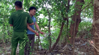 Đau lòng án mạng từ tình yêu mù quáng