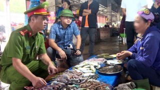 Cảnh sát nỗ lực cứu chim trời