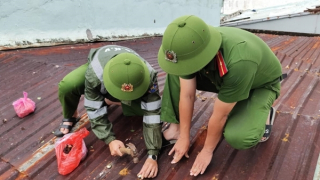 Vì sao Đà Nẵng hạn chế được thấp nhất hậu quả bão số 4?