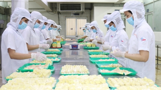 Nỗ lực để ngành thực phẩm tham gia sâu vào chuỗi cung ứng toàn cầu