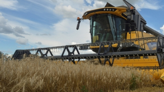 Kinh tế thế giới ảm đạm vì chiến tranh