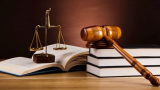 Rà soát các luật thuế trình cấp có thẩm quyền xem xét, sửa đổi