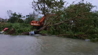 Gió giật và mưa lớn dữ dội, miền Trung oằn mình trong bão
