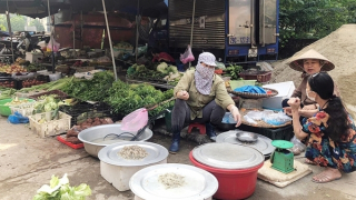 Giá một số thực phẩm, hàng hóa thiết yếu “hạ nhiệt”