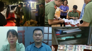 Từ 2 chiếc giò, bắt cặp vợ chồng tàng trữ hơn 3 tỷ đồng tiền giả