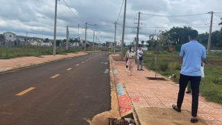 Khi cơn sốt đất qua đi