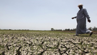 COP27: Thời điểm để giải quyết “3 bất bình đẳng"