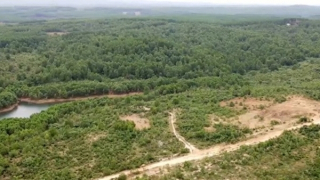 Thu hồi dự án Vùng nông nghiệp ứng dụng công nghệ cao của FLC tại Quảng Trị