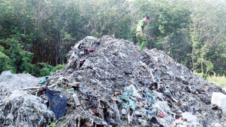 Đấu tranh mạnh với tội phạm về môi trường