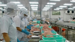 Xuất khẩu thủy sản tăng mạnh ở những thị trường chính