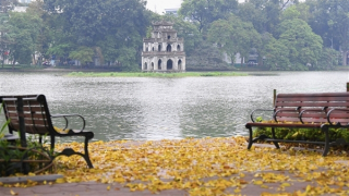 Mùa thu, chưa thấy mùa thu