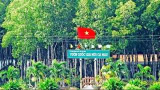 Bắt tạm giam nguyên Giám đốc Vườn Quốc gia Mũi Cà Mau tham ô tiền tỷ