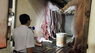 Phát hiện nhiều cơ sở kinh doanh vi phạm về an toàn vệ sinh thực phẩm