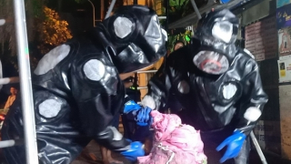 Bóc gỡ các tổ ong vò vẽ khổng lồ đe dọa người dân thành phố