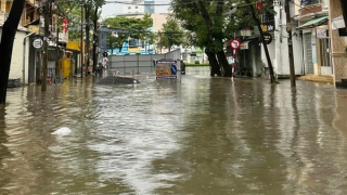 Chủ động ứng phó đợt triều cường có thể đạt đỉnh lịch sử năm 2019