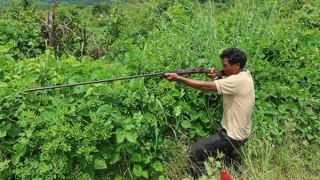 Đi săn thú, bắn nhầm người bẫy gà