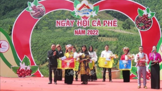 Nâng tầm thương hiệu cà phê Sơn La