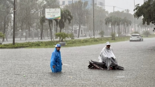 Miền Trung khẩn trương ứng phó tình trạng mưa lũ lớn