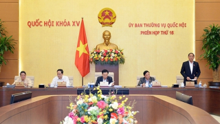 Đề xuất khởi điểm đấu giá biển số 40 triệu đồng, 1 năm không đăng ký bị thu hồi