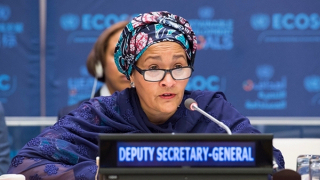 Những ngổn ngang trên bậc thềm COP 27