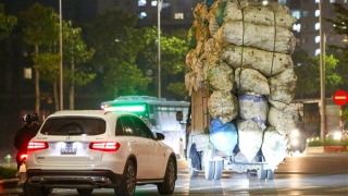 Mát ga qua đèn đỏ, hàng loạt “thánh liều” dính phạt giao thông