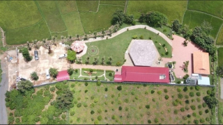 Phạt hành chính, buộc tháo dỡ biệt phủ xây dựng trên đất nông nghiệp