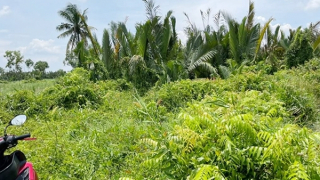 Khóc, cười chuyện mua đất đón đầu quy hoạch