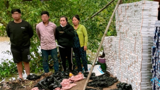 Hơn 12 ngàn gói thuốc lậu tập kết trong chòi hoang