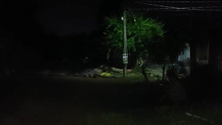 Đập vỡ bát trong lúc nhậu, bị chém tử vong