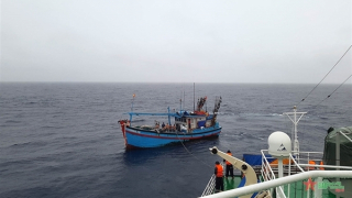 Kịp thời cứu tàu cá và 12 ngư dân gặp nạn trên vùng biển Trường Sa